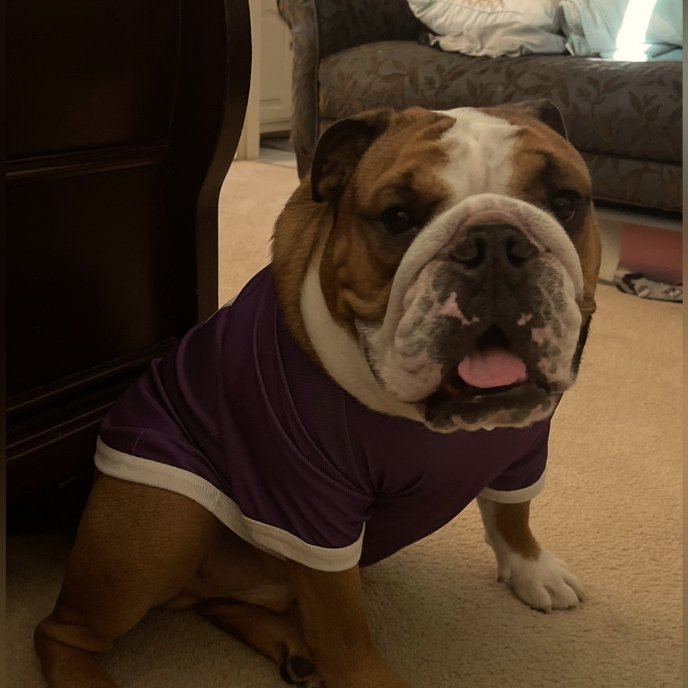 My Bully!!!